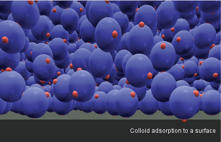 Colloid adsorption to a surface.