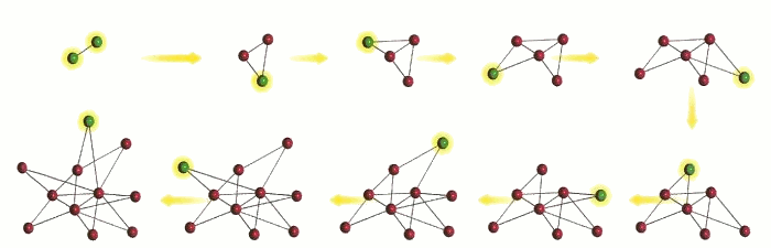 A preferncia em estabelecer ligaes com os nodos mais conectados gera uma rede scale-free.